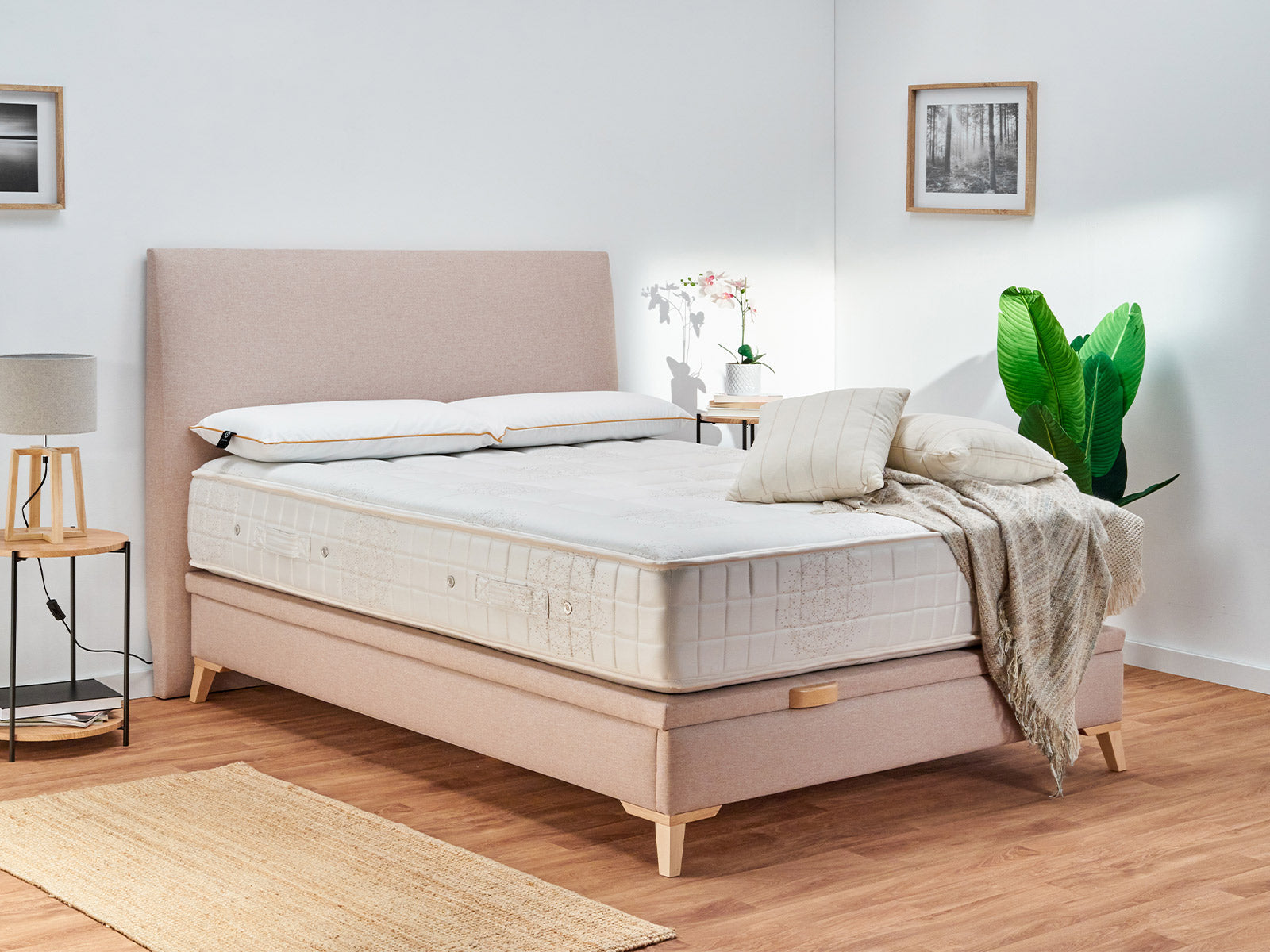 Canapé JK Los Angeles